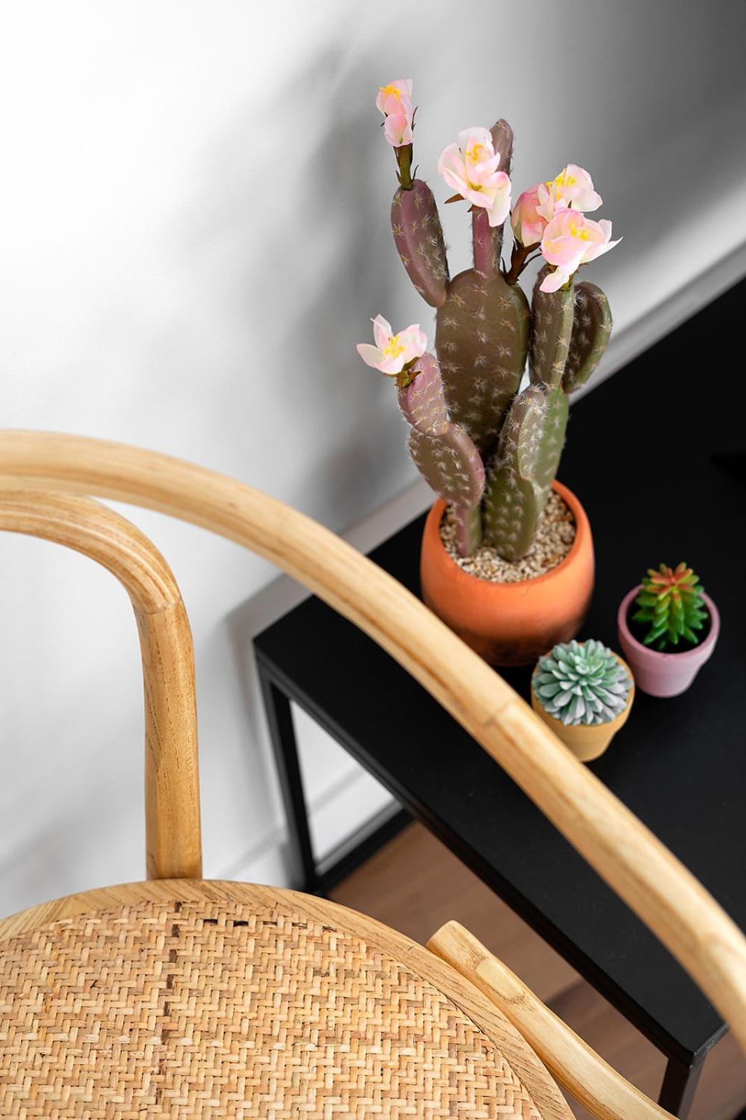 Okako Apartments טודלה מראה חיצוני תמונה